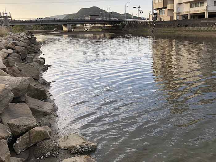 淡路島のドブ川