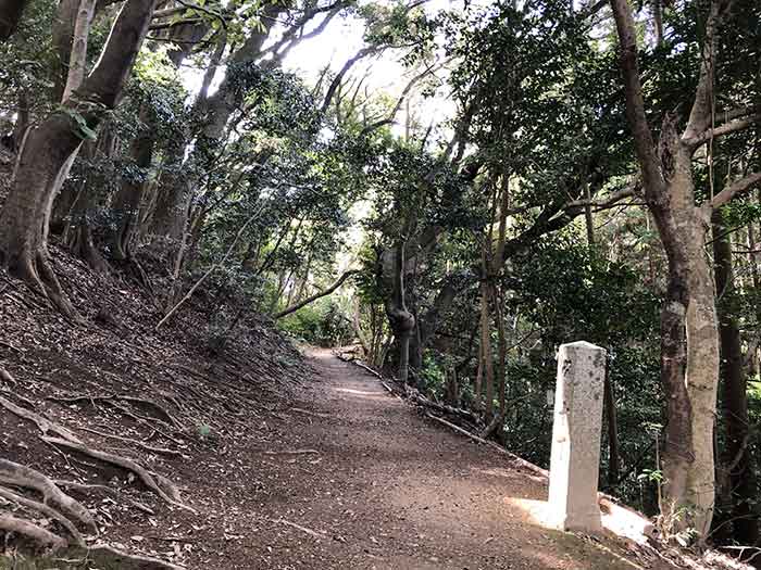 先山の登山道　10丁石