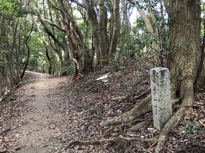 先山の登山道　11丁石