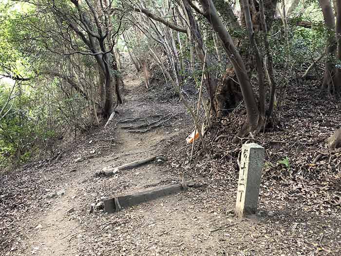 先山の登山道　12丁石