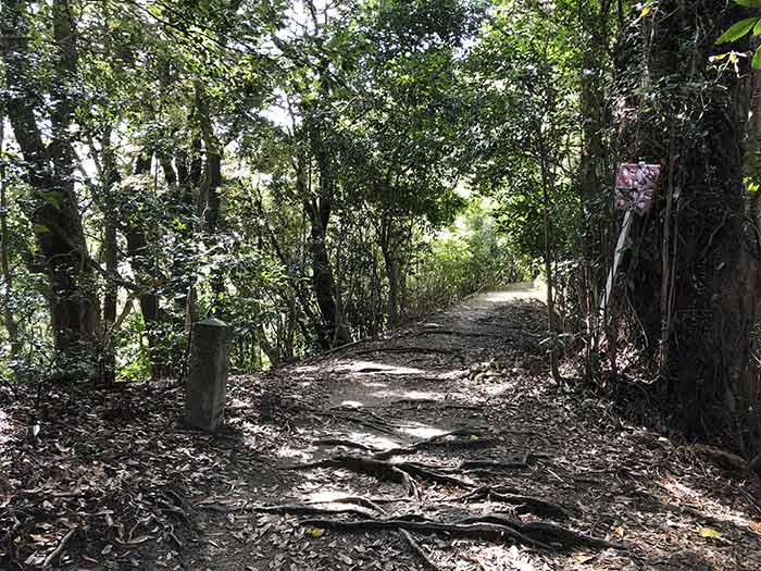 先山の登山道　12丁石