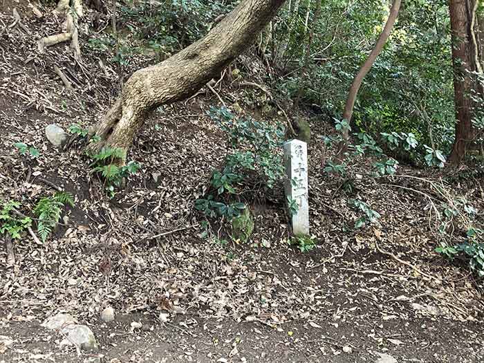 先山の登山道　15丁石