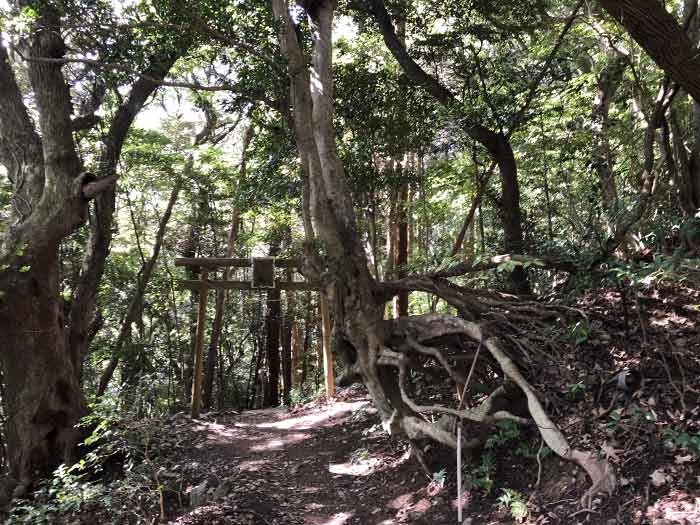 岩戸神社