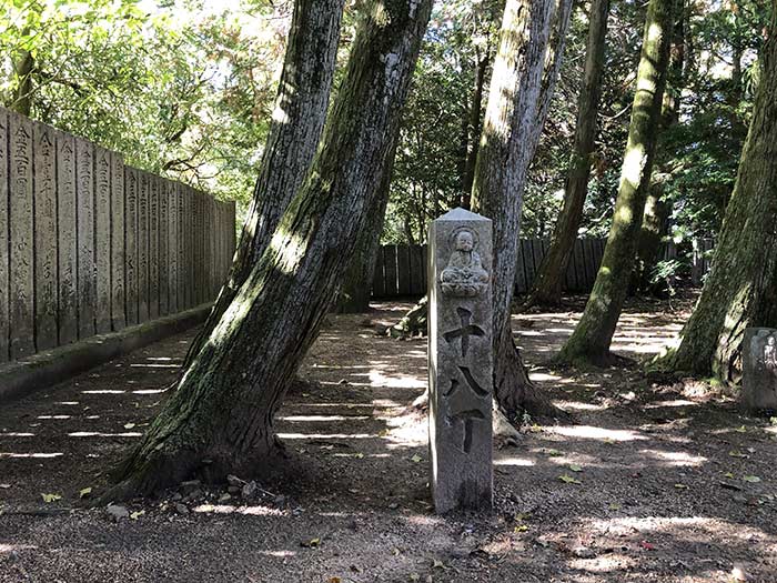 先山の登山道　18丁石