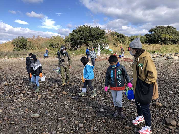 干潟で生き物調査