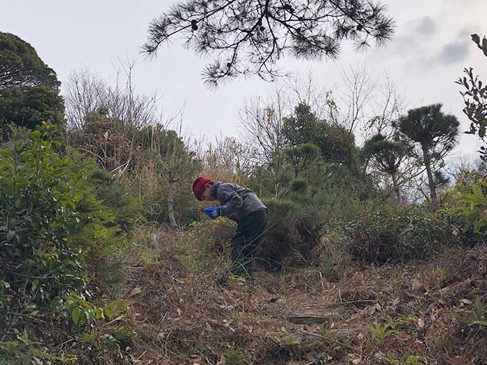 息子が山を散策