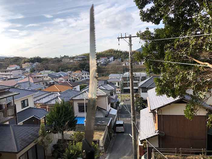 山からの眺め