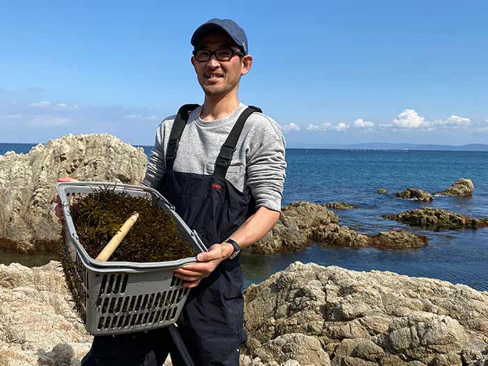 淡路島で天然乾燥ひじき作り❗️ポカポカ太陽光線で美味しくなりそうな予感です〜😙