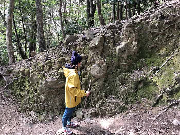 緑の岸壁