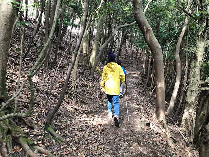 表参道コースを登山