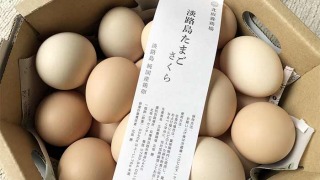 北坂養鶏場のたまご（さくら）