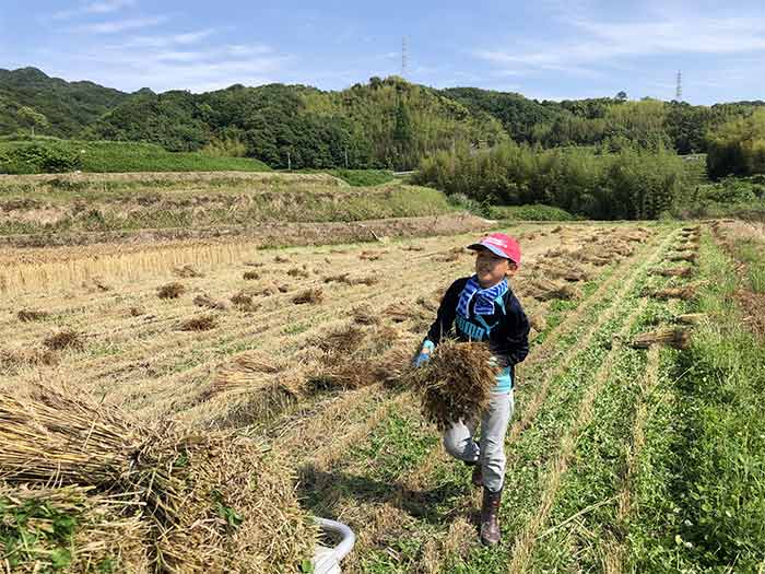 息子が農作業