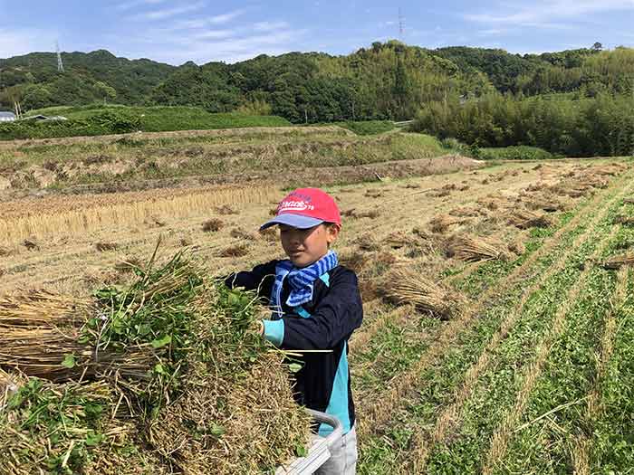 息子が農作業お手伝い