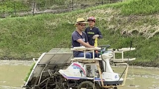 田植え