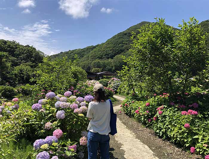 あわじ花山水2021の様子