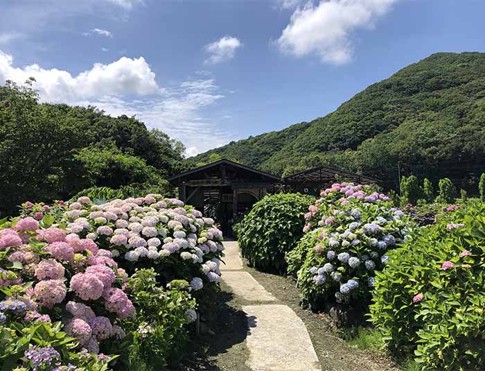 あわじ花山水2021の様子