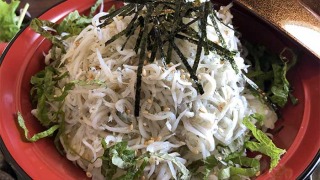 釜揚げしらす丼