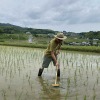 デッキブラシで除草作業