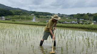 デッキブラシで除草作業