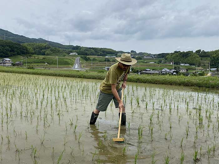 デッキブラシで除草作業