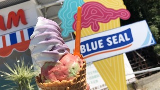 BLUE SEALのアイスクリーム