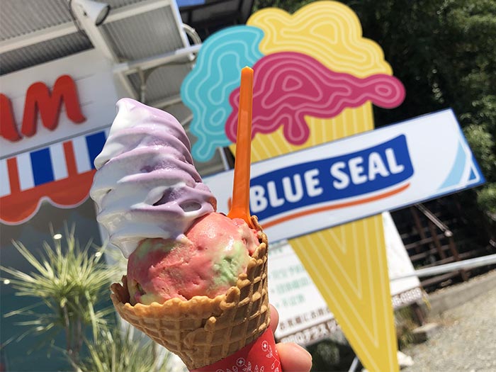 BLUE SEALのアイスクリーム