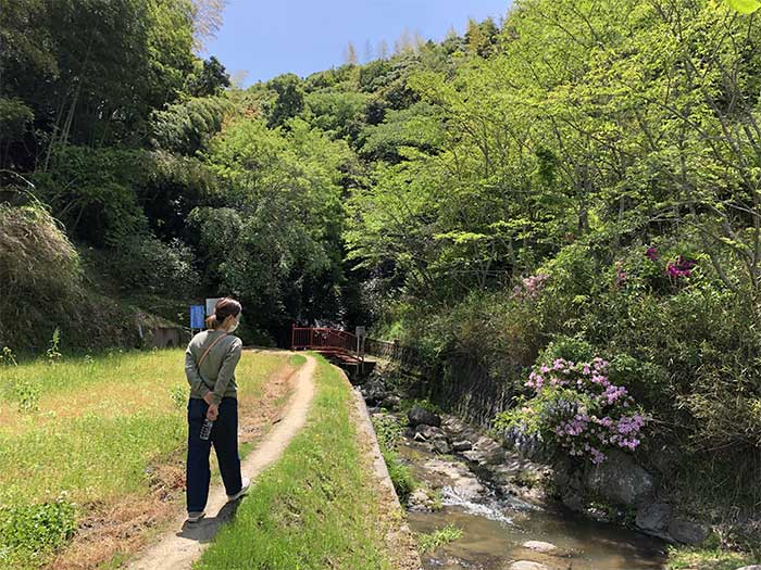 大師の水の周辺の様子