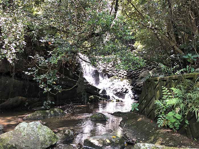 大師の水の周辺の様子