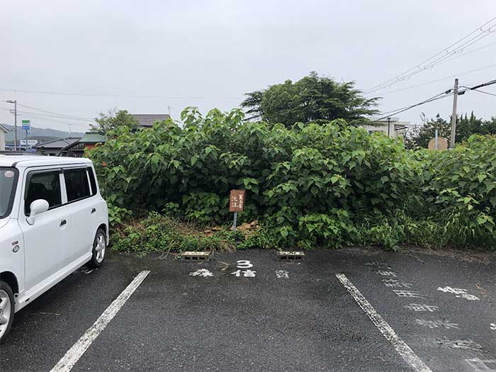 泡沫の駐車場