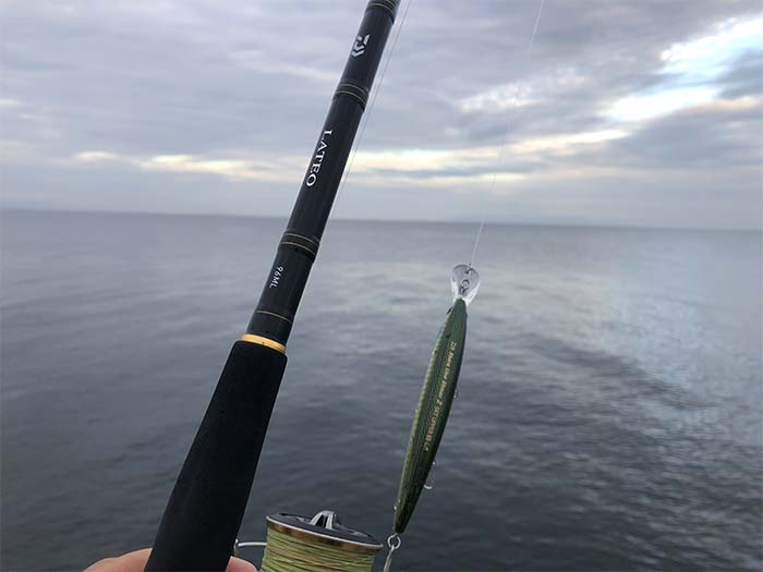 淡路島の海で釣り