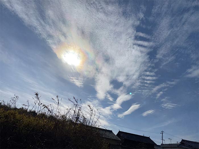 太陽がきれい