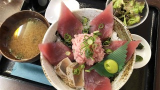 赤身&ネギトロ丼