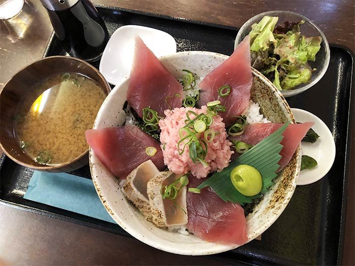 赤身＆ネギトロ丼