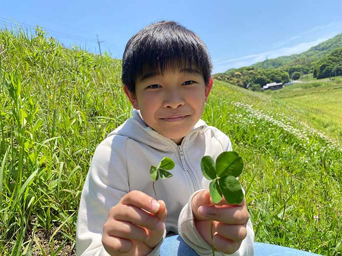 息子が四つ葉を見つけまくる