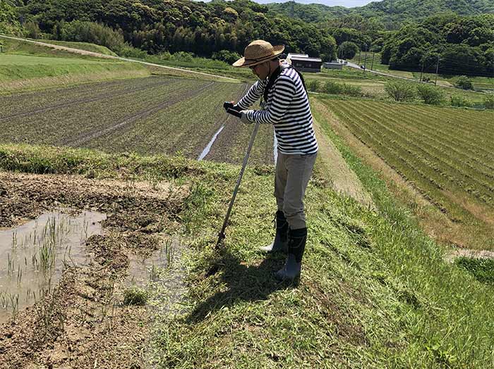 除草作業中