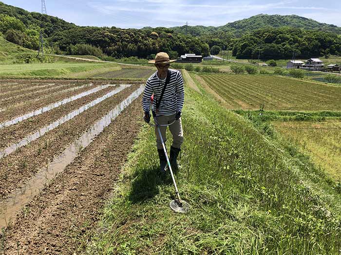 除草作業