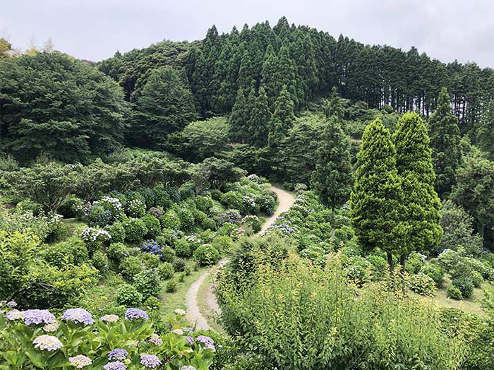 見晴らし台からの景色