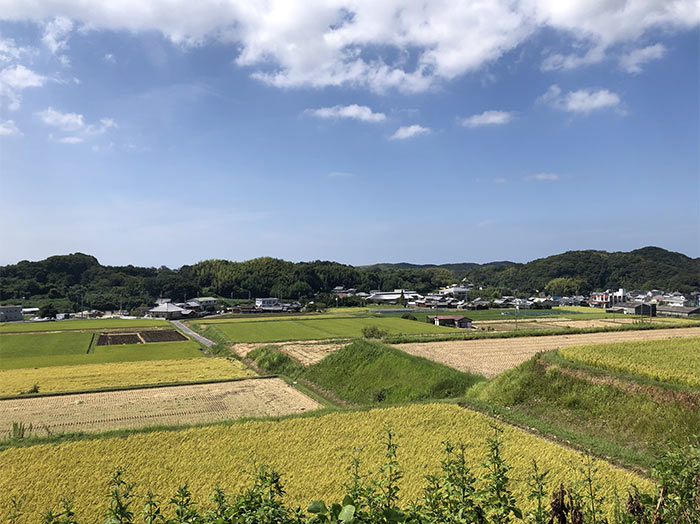 鮎原の田んぼ