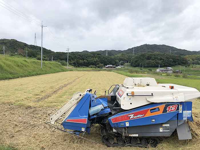 稲刈り終了