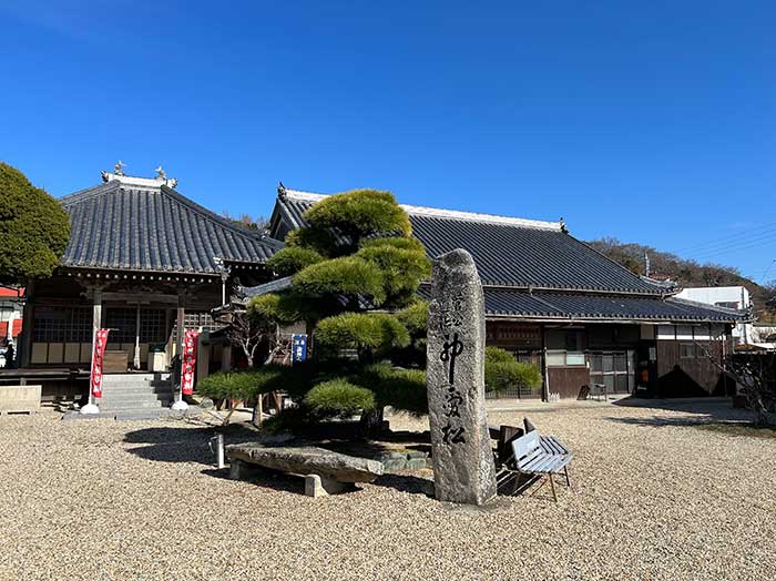 浄土寺の神愛の松