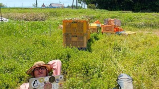 玉ねぎ収穫の休憩中