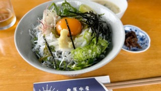 釜揚げしらす丼