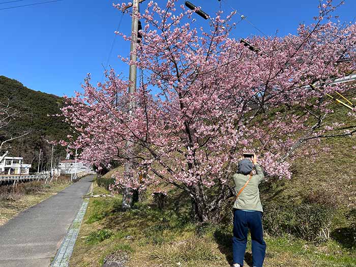 奥さんが撮影している